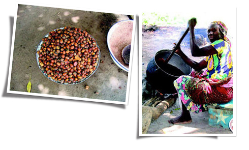 Hand ground shea nuts