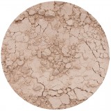 14141_powderfoundationswatch_med