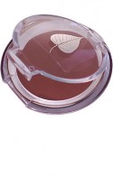 Photo of Lip Creme – Melon
