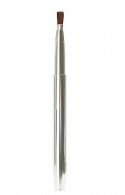 Photo of Lip Brush