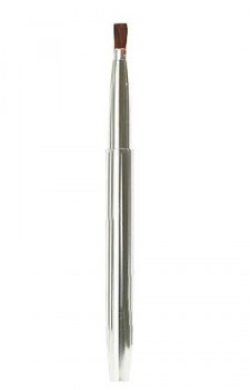 Photo of Lip Brush